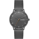 Skagen Riis Edelstahl 40 mm SKW6884