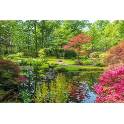 Fototapete PAPERMOON "GARTEN-BLUMEN BÄUME PFLANZEN STEINE WALD PARK BLÜTEN", bunt, B:3,00m L:2,23m, Vlies, Tapeten