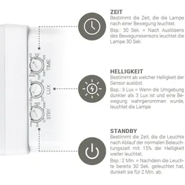 Longlife LED LED Wandleuchte 20 W anthrazit mit Bewegungsmelder IP65