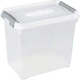Curver Aufbewahrungsbox HANDY 29,4 x 19,4 x 25,4 cm 1-tlg. silber