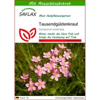 SAFLAX - Heilpflanzen - Tausendgüldenkraut - 250 Samen -