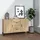 vidaXL Sideboard 100 x 36 x 60 cm Braun