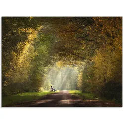 Glasbild ARTLAND "Licht am Ende des Tunnels...", grün (farbe bild(er): grün), B:60cm H:45cm, Bilder, in verschiedenen Größen