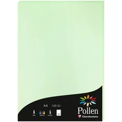 Pollen 10x Papier A4 Pollen 120g 50 Blatt - Grün 4205C