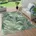 Flachgewebe Gecarvtes Florales grün 150 cm Quadrat