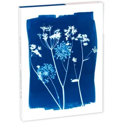Clairefontaine 5x Cyanotype, Korrespondenzset 12x16,5 cm mit 8 Einzelkarten 11x15,5 cm sortiert und 8 Umschlägen Pollen C6 Naturweiß - 83507C