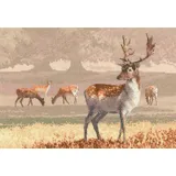 Heritage Crafts Heritage Kreuzstich Set Zählstoff "Wildpark (L)", Zählmuster, JCDK1212-E, 32x22cm