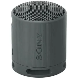 Sony SRS-XB100 schwarz