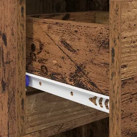 vidaXL Schuhschrank Altholz 100,5 x 28 x 100 cm braun