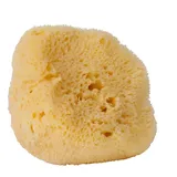 Croll & Denecke Naturschwamm, Meeresschwamm, Natur