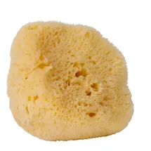 Croll & Denecke Naturschwamm, Meeresschwamm, Natur