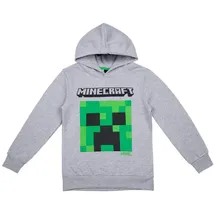 Minecraft Hoodie Grey 140