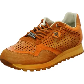 CETTI C-848 V26 Herren Orange 43
