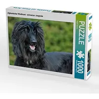 Calvendo Puzzle Afghanischer Windhund - schwarzer Jungrüde 1000 Teile