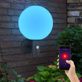 GLOBO Außenleuchte Wandleuchte Bewegungsmelder Gartenleuchte Edelstahl Fassadenleuchte, Glaskugel weiß anthrazit, App Steuerung, Smart RGB LED 10W 806Lm, DxH 25x37 cm