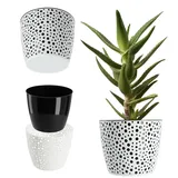 Kadax 13 x 13 x 10,7 cm Schwarz