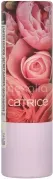 Catrice Secret Garden Matte Lipstick C03 Little Secret 3,6 g