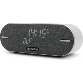 TechniSat DigitRadio BT 2 grau
