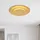 GLOBO Heda 1 LED rund gold Metall Ø 49 cm