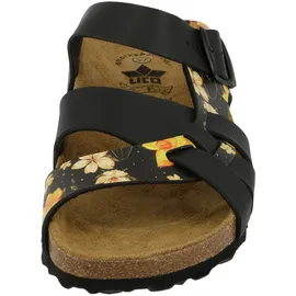 LICO Bioline Flora 37 - 37