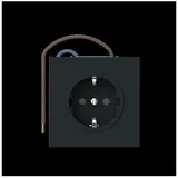 Busch-Jaeger Schuko-Steckdose 20 EUCBLI-45M Schwarz 1 St.