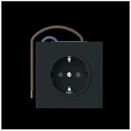 Busch-Jaeger Schuko-Steckdose 20 EUCBLI-45M Schwarz 1 St.