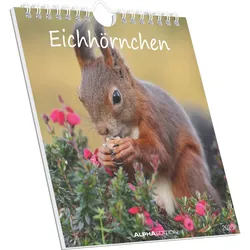 Eichhörnchen 2026
