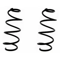 DT Spare Parts Feder 10.13051