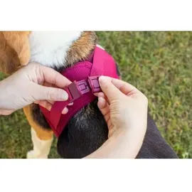 Curli Clasp Air-Mesh Lime 3XS