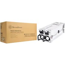 Silverstone GM600-2UG V2, 600W