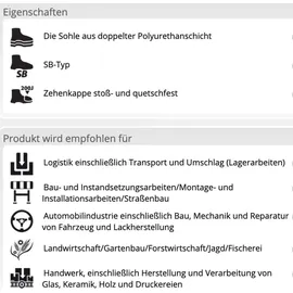 Reis Arbeitsschuhe SB SRA, Halbschuhe Glattleder 40