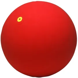 Wv Gymnastikball Rot 19 cm