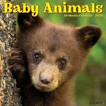 Willow Creek Press Exotic Animals 2026 Wall Calendar