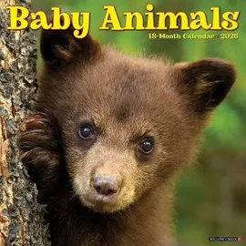 Willow Creek Press Exotic Animals 2026 Wall Calendar