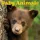 Willow Creek Press Exotic Animals 2026 Wall Calendar