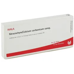 Mesenchym/ Calcium Carb. Comp. Ampullen