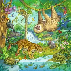 Im Urwald