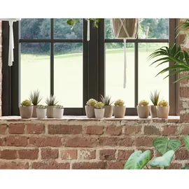 LECHUZA Trio Cottage 100 x 32,5 x 34,5 cm Sandbraun