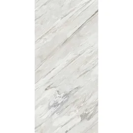 Breuer Duschrückwand Hochglanz Marmor Dekor 100x255x0,3 cm