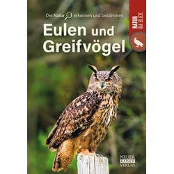 Eulen und Greifvögel