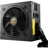kompatible Ware Fortron 1000W FSP HGT-1000W ATX3.0 80+Gold