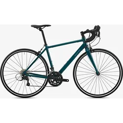 Rennrad Endurance Triban Regular AF Microshift Grün blaugrün XS