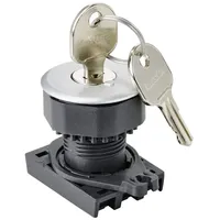TRU Components TC-10343992 S3KF-2DS Schlüsselschalter-Frontelement Schlüssel Silber 1 x