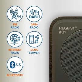 Ferguson Regent i101 schwarz