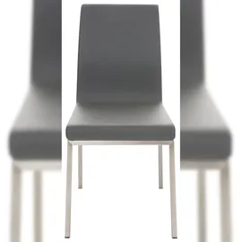 CLP 2er Set Esszimmerstühle Colmar Mit Pflegeleichtem Kunstledersitz I Gepolsterte Lehnstühle Mit Edelstahlgestell