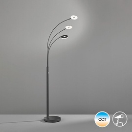 FISCHER & HONSEL LED Bogenlampe DENT (BH 45x185 cm)