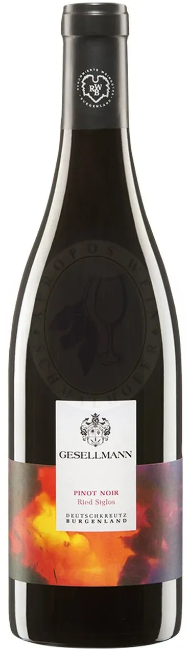 Pinot Noir Siglos 2022 Gesellmann 0,75l