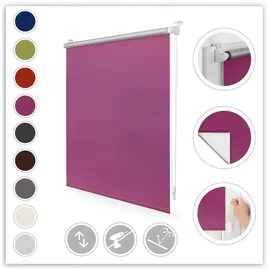 Lichtblick Thermo-Rollo Klemmfix 100 x 150 cm fuchsia