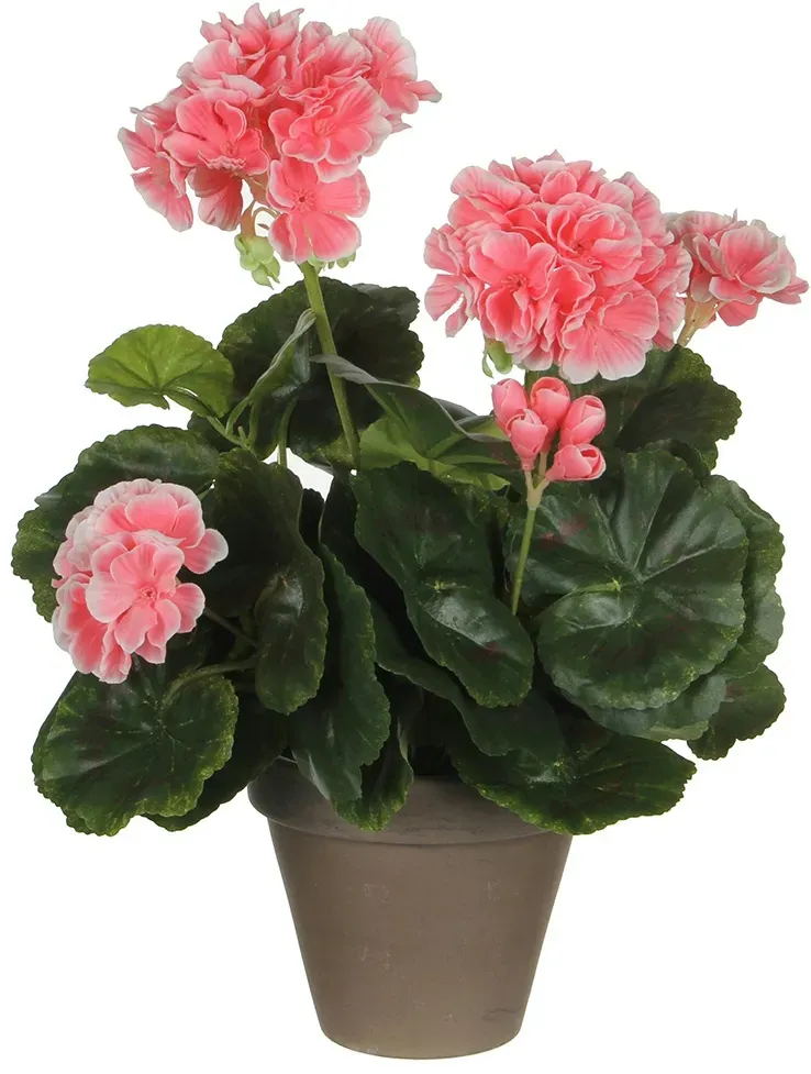 Mica Decorations Pfirsich Geranie Pvc mit grauem Topf