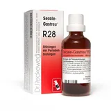 Dr.RECKEWEG & Co. GmbH SECALE GASTREU R28